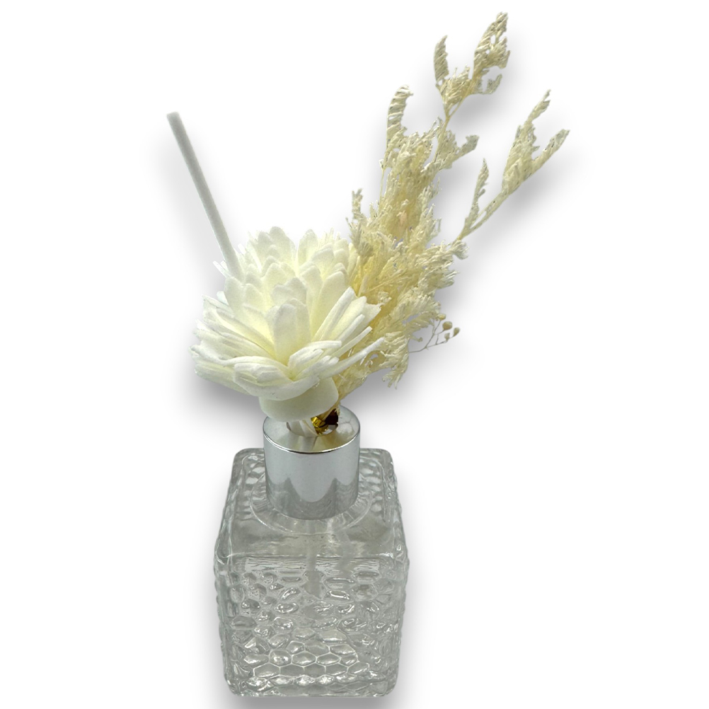 040C853F-9767-A8B7-0191-0196F23C5620_1 riniotis-image