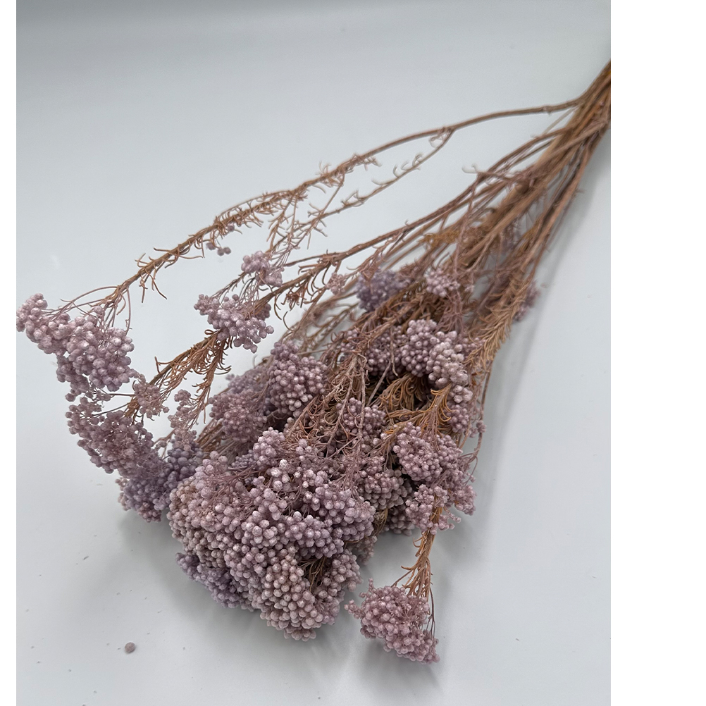 C2465AC8-38C9-4D5B-0EB6-019711E4A7A6_1 riniotis-image