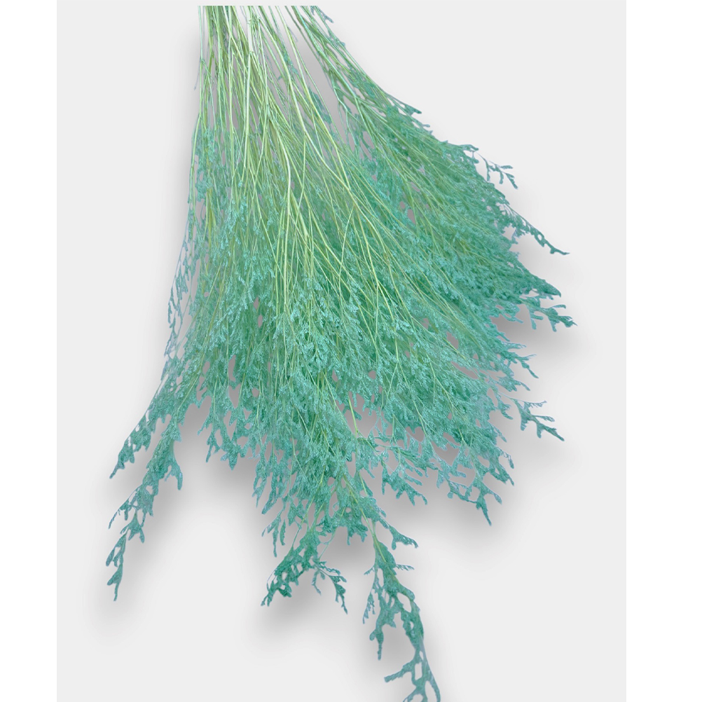 D0651C01-BDA4-10DE-0E37-01971092D957_1 riniotis-image