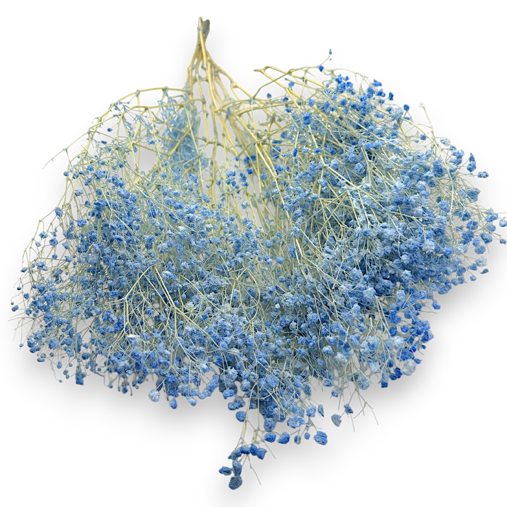 DB7CA213-5BAF-2B21-A3D9-0196EC93377A_1 riniotis-image