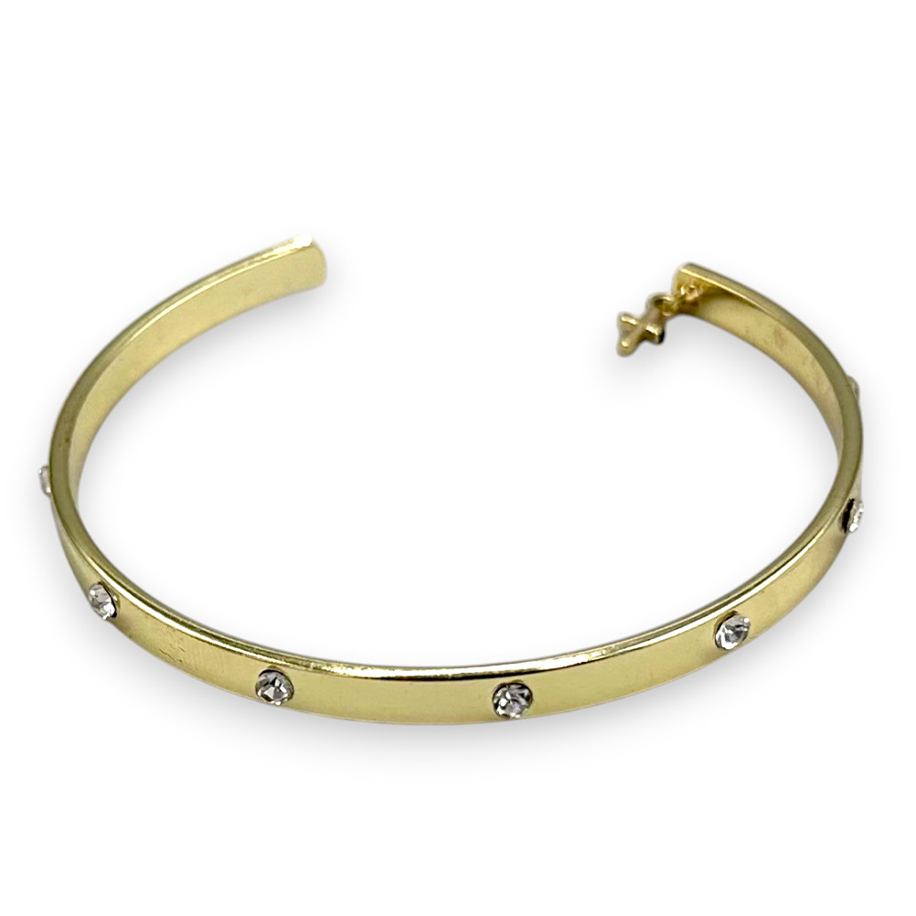 8783541A-C0BA-8288-EAEB-0197CFB23CEB_1 riniotis-image