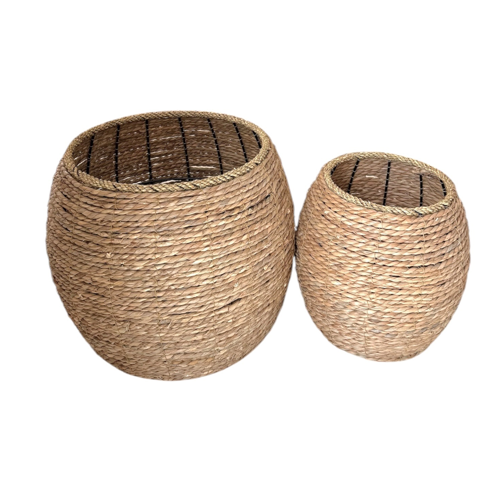 578D7270-F0E1-92D2-035C-019D9163C47B_1 riniotis-image